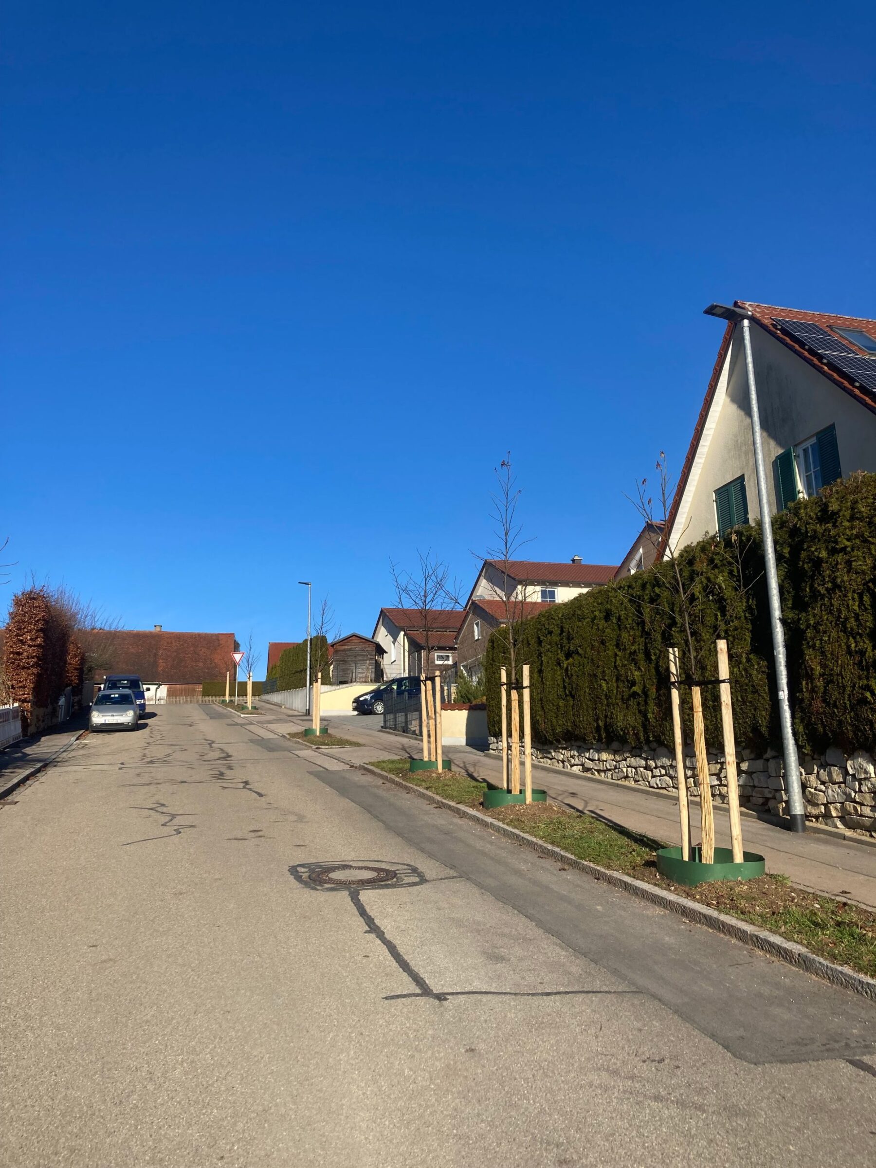 Das Tiefbauamt der Stadt Gersthofen hat 36 neue Pflanzungen an acht Standorten in Gersthofen und den Ortsteilen durchgeführt.